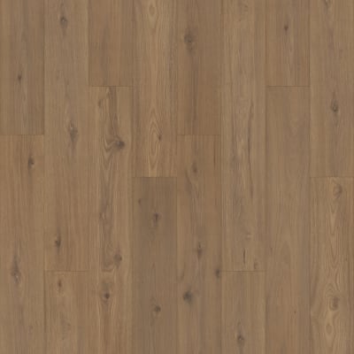 PSR19-258 - Hazelnut Hickory
