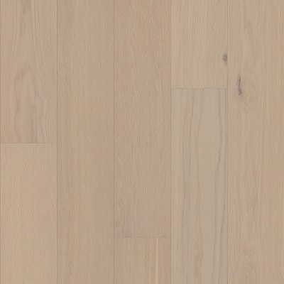 SW776-01153 - Tradition