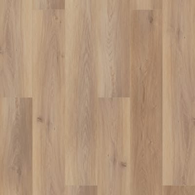 VV488-02101 - Wiltshire Oak
