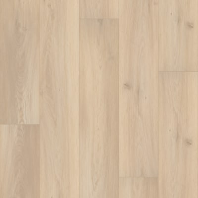 VV457-02911 - Cyril Oak