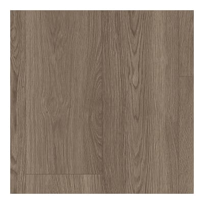 AH105-870 - Harbor Seal Oak