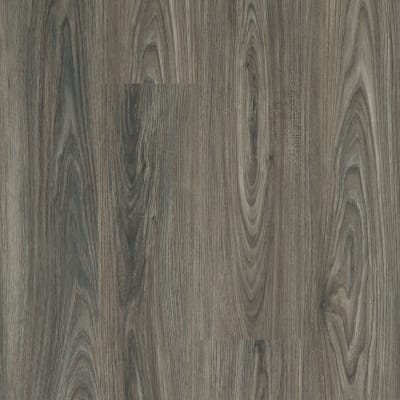 00915_5M402 - Dark Elm