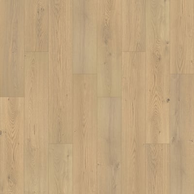 PSR11-831 - Latte Oak
