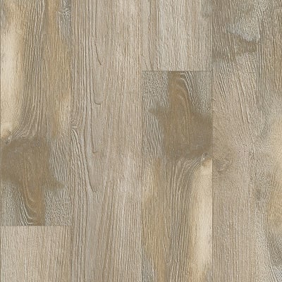 BOW01-259 - Sedge Wren Oak