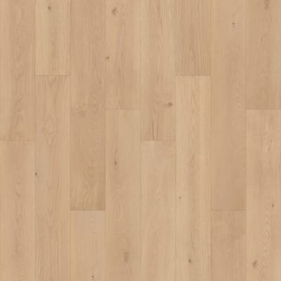 PSR18-853 - Cork Oak