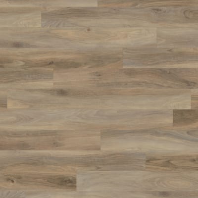 WP511 - Weathered Elm