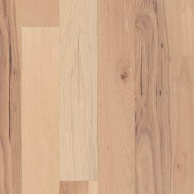 SW773-01155 - Intrinsic