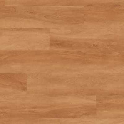 SCB42 - Jatoba