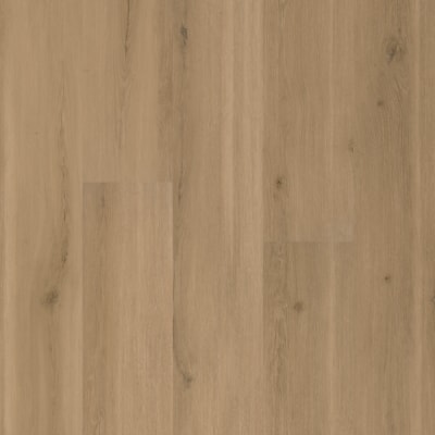 MAX742 - Swiss Oak Truffle