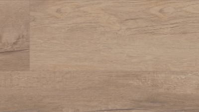 VV662-04011 - Grande Goldin Oak