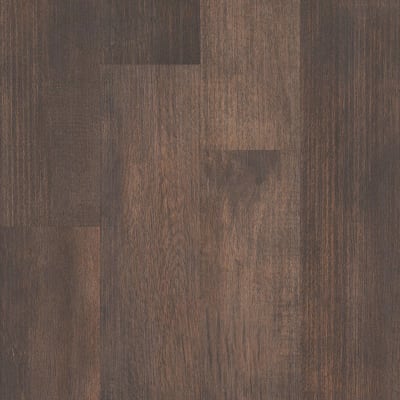 05019_5M302 - Thicket
