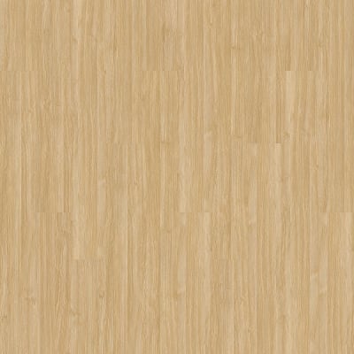 AH124-222 - Camel