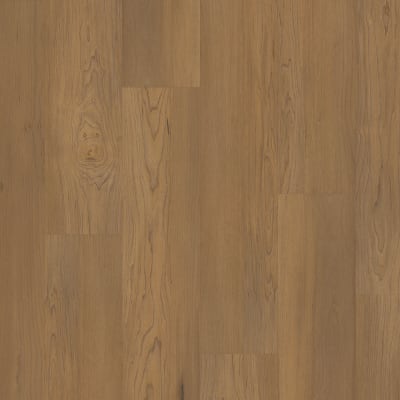 VV800-02035 - Essex Maple