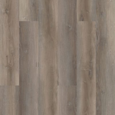 VV490-01655 - Wellington Oak