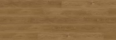 RENW7003 - Rainforest Brown