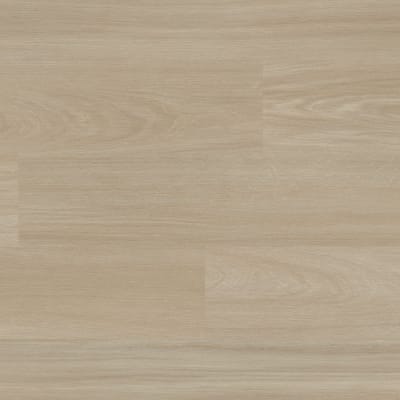WP432 - Rhine Oak