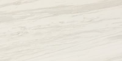 PT201224A1LF - Timeless White 12 x 24 Polished