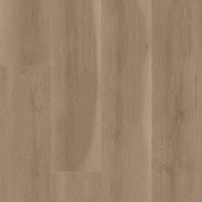 02109-3381V - Woodland Truffle