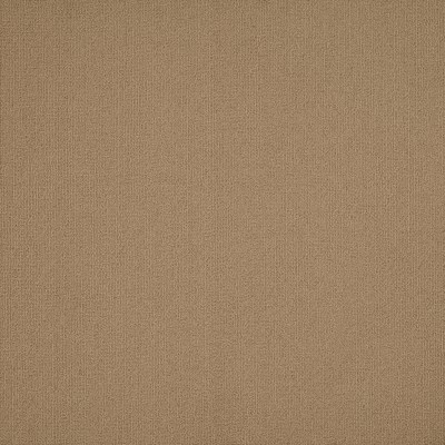 54462_62103 - Gilded