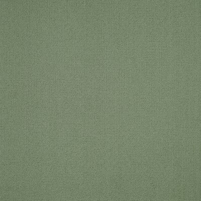 54462_62310 - Foliage