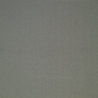 54462_62530 - Grey Metal