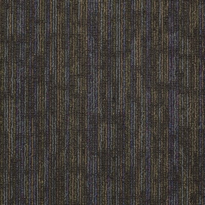 54491_91593 - Magnetize