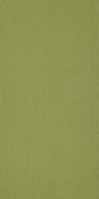 54786_62325 - Brite Green