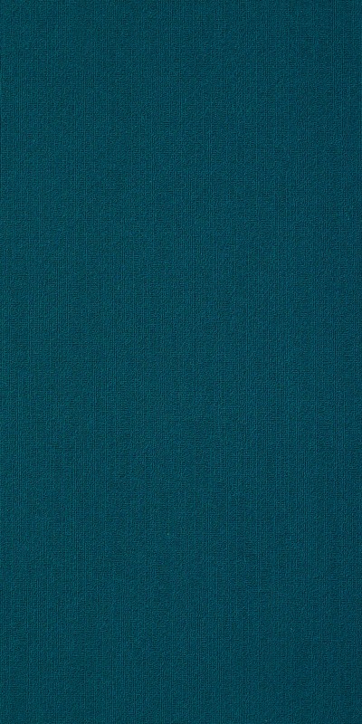 54786_62405 - Saxony Blue