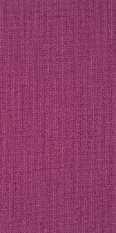 54786_62890 - Calypso