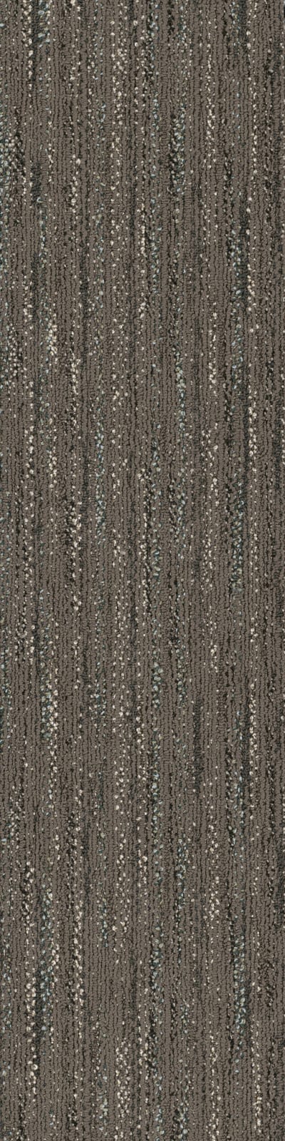 54833_33501 - Pietersite