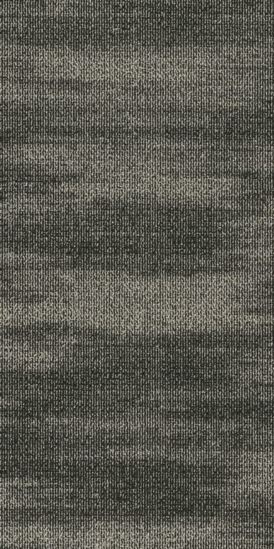 54834_34520 - Shungite