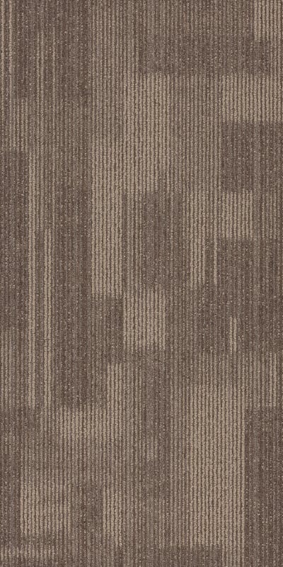 54842_00705 - Ingenious