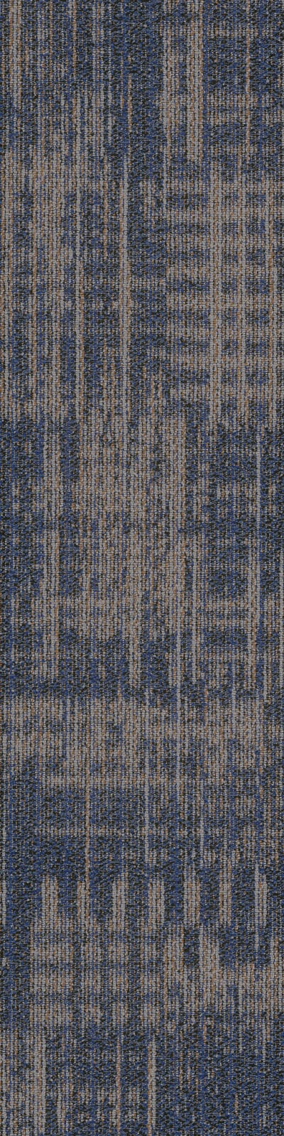 54874_00400 - Euphony