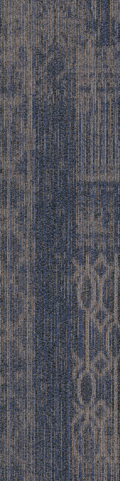 54875_00400 - Euphony