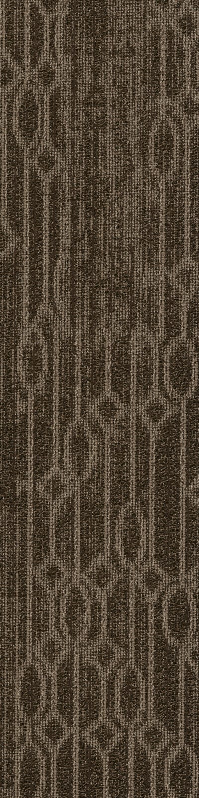 54875_00710 - Lyric