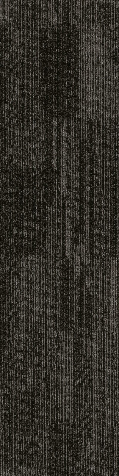 54876_00510 - Overtone