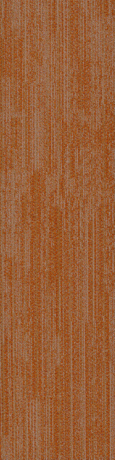 54876_00600 - Articulation