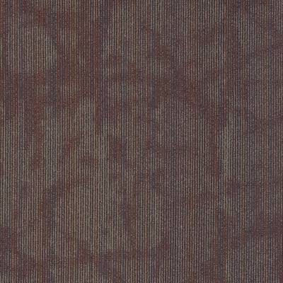 54895_00906 - Piece