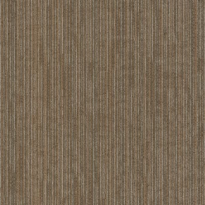 54896_00700 - Raw