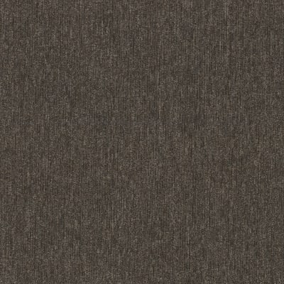 54931_00715 - Scads