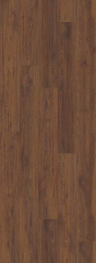 VV024-00715 - Fidalgo Oak
