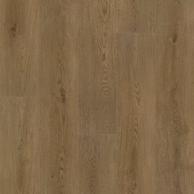 VV845-05046 - Plainfield Oak