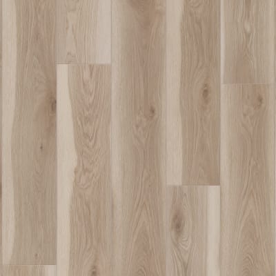 VV855-05065 - Kingston Oak