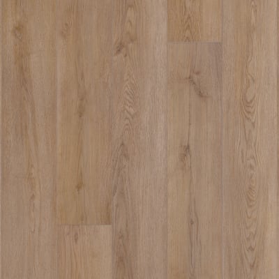 VV855-05067 - Farington Oak