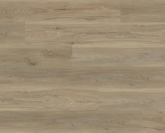 Lions Floor - Natural Essence Plus SPC - Palisade