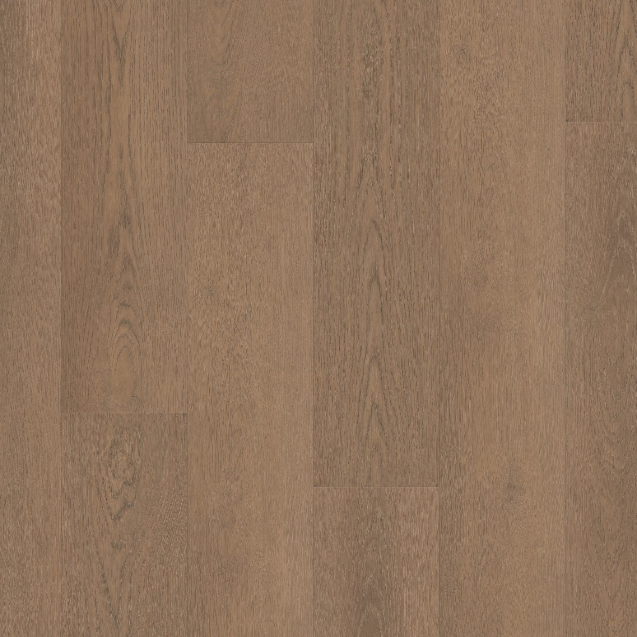 Shaw Floorte Pro - Paragon HD Plus Natural Bevel - Rutledge