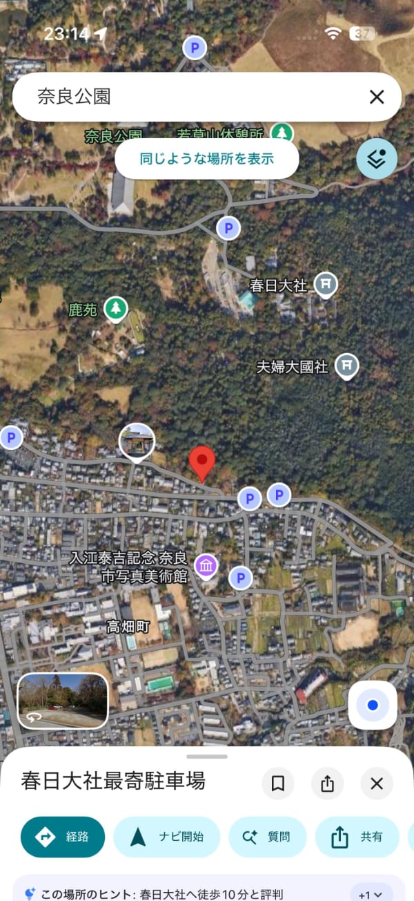 #奈良公園2026夏 週末に奈良公園に行った。 無料駐車場は大体埋まってるので、いつもは興福寺とかに止めるのだけど、春…