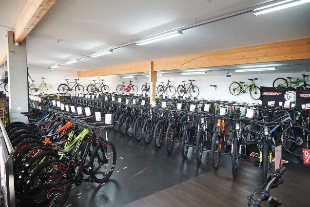 Bike World Baier Laden