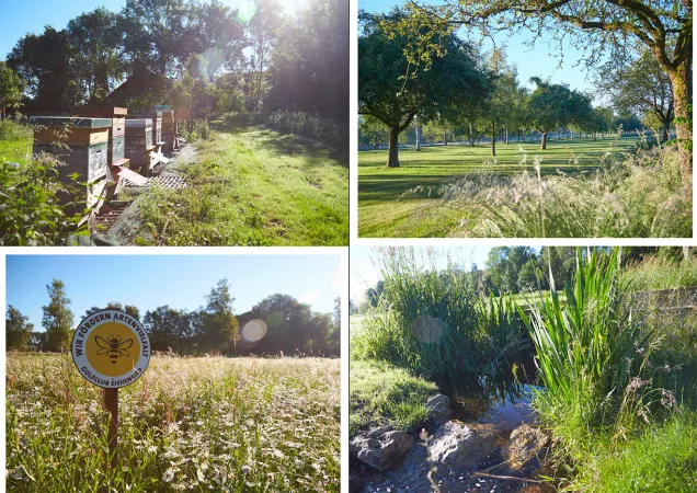 Screenshot FAIRWAY 21