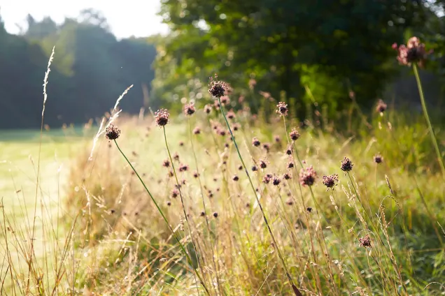 Wittelsbacher Golfclub 21